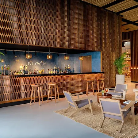 Mondrian Cancun (Adults Only)-2